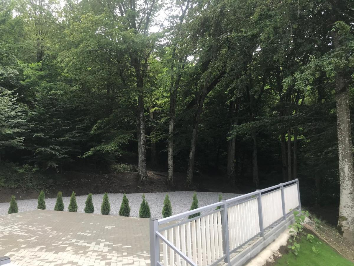 Vila Niki Szováta Kültér fotó